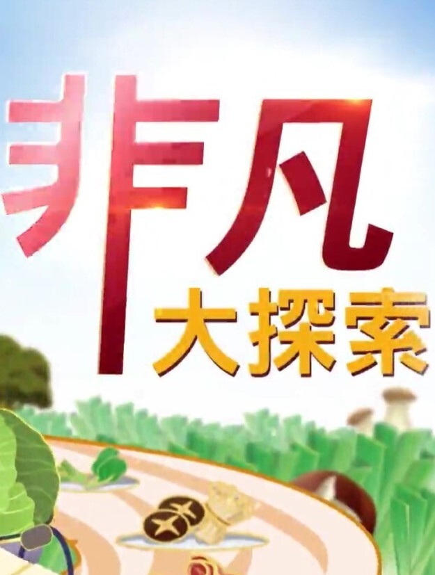 新来的良家小少妇 - 洞感地带